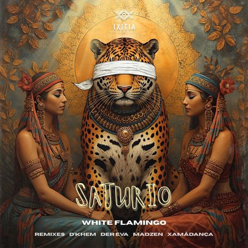 Saturio (Der EVA Remix) cover art