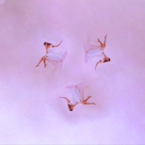 Trinity cover art