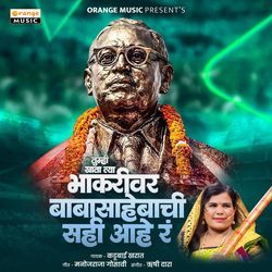 Tumhi Khata Tya Bhakari Ver Baba Sahebachi Sahi Hay R (Dj Mix Jay Bhim India)