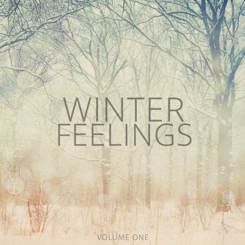 Winter Feelings, Vol. 1 (Hang Out & Chilled Relaxing Music)