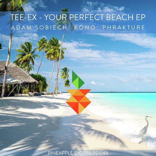 Your Perfect Beach (Adam Sobiech Remix)