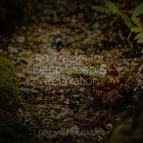 50 Tracks for Deep Sleep & Relaxation