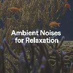 Ambient Noises for Relaxation, Pt. 1