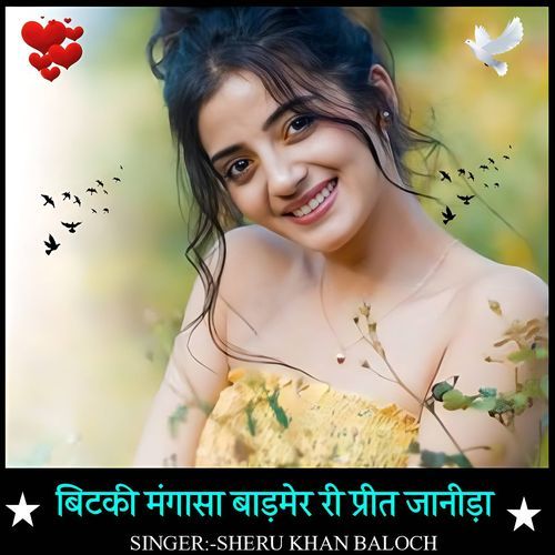 Bitaki mangasa badmer ri preet jaanida