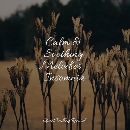 Calm & Soothing Melodies | Insomnia