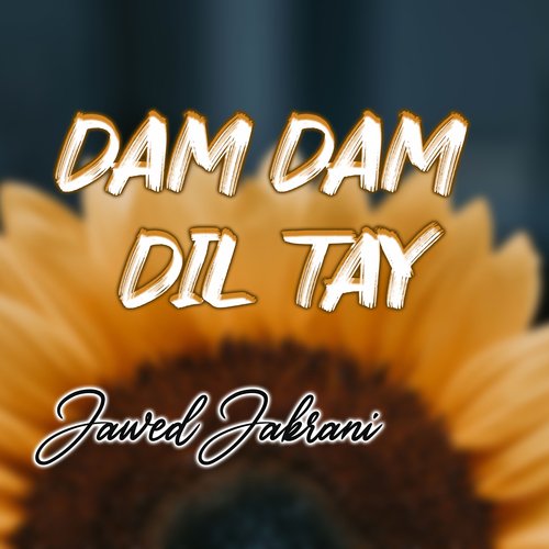 Dam Dam Dil Tay_poster_image