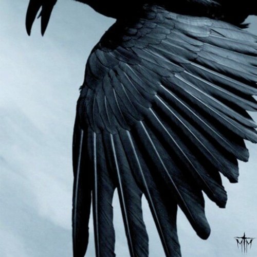 Dub Season cover art