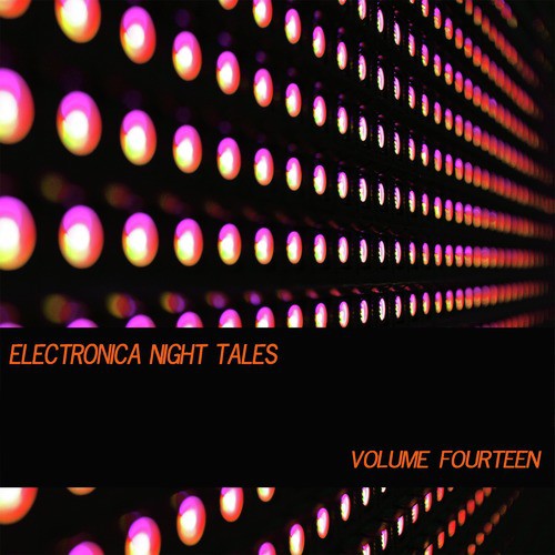 Electronica Night Tales, Vol. 14