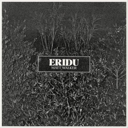 Eridu