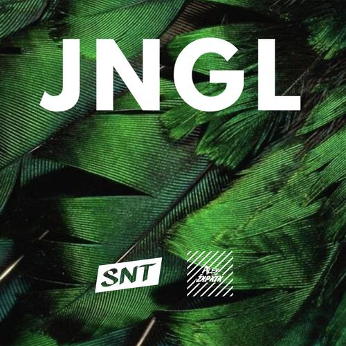 Snt