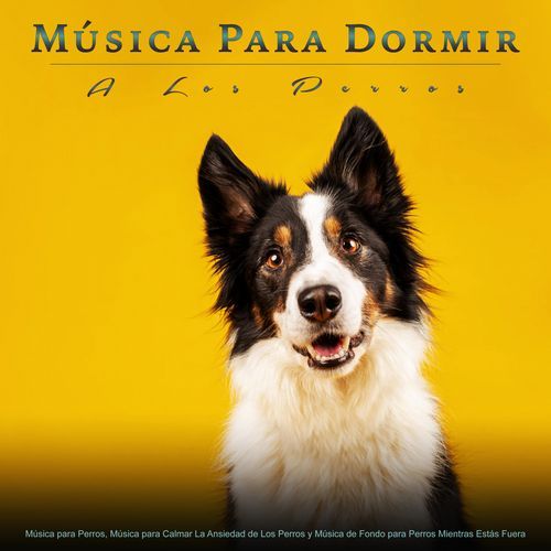 Música para Perros Con Ansiedad cover art