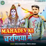Mahadev Ke Charniya Me