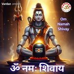 Om Namah Shivay