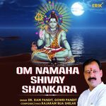 Om Namaha Shivay Shankara