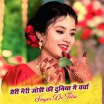 तेरी मेरी जोडी की दुनिया मै चर्चा