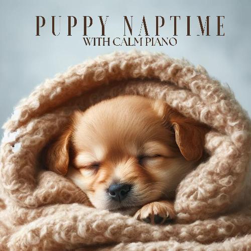 Puppy Naptime with Calm Piano_poster_image