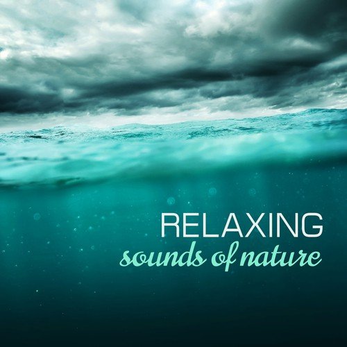 Sonidos Naturales Relax