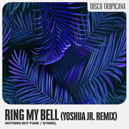 Ring My Bell (YOSHUA JR. Remix)_poster_image