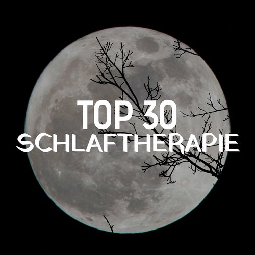 Stimme von der Seele