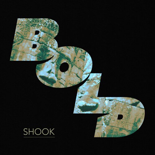 Shook_poster_image