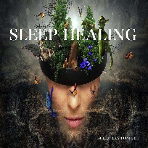 Sleep Healing cover art