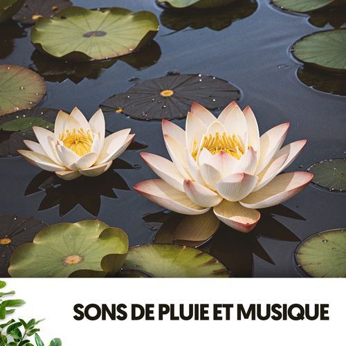 Sons de Pluie et Musique : Une Danse Aquatique de Notes_poster_image