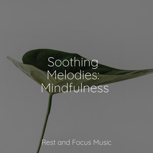 Soothing Melodies: Mindfulness_poster_image