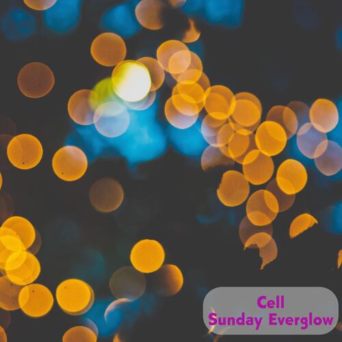 Sunday Everglow