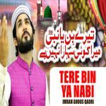 Tere Bin Ya Nabi