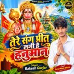 Tere Sang Preet Lagi Hai Hanuman