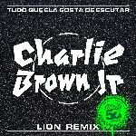 Tudo Que Ela Gosta De Escutar (Lion Remix)