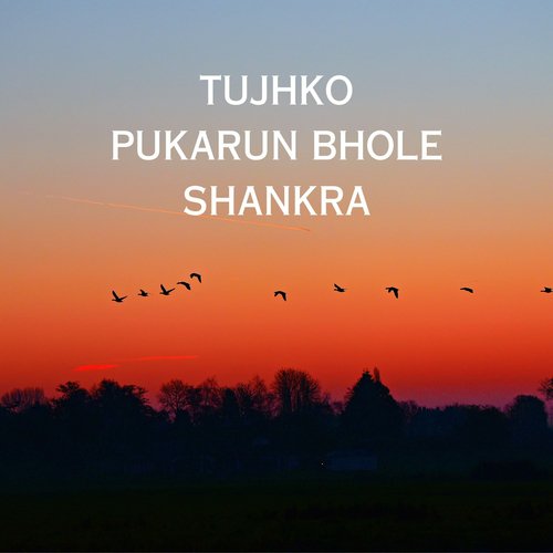 Tujhko Pukarun Bhole Shankra