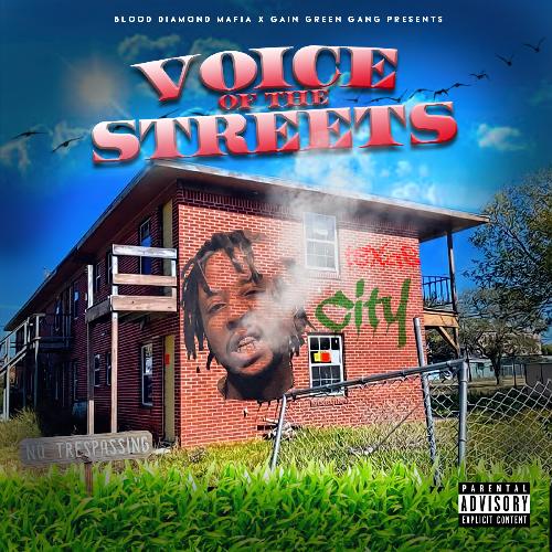 Voice of the Streets_poster_image