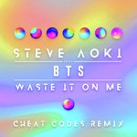 Waste It On Me (Cheat Codes Remix)
