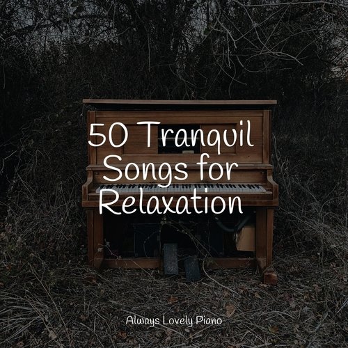 25 Tranquil Songs for Relaxation