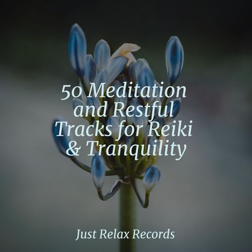 50 Meditation and Restful Tracks for Reiki & Tranquility