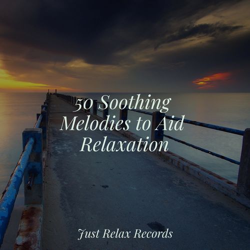 50 Soothing Melodies to Aid Relaxation_poster_image