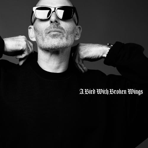 A Bird With Broken Wings