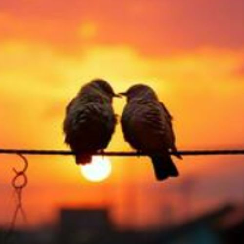 Bahut Pyaar Tumne Diya