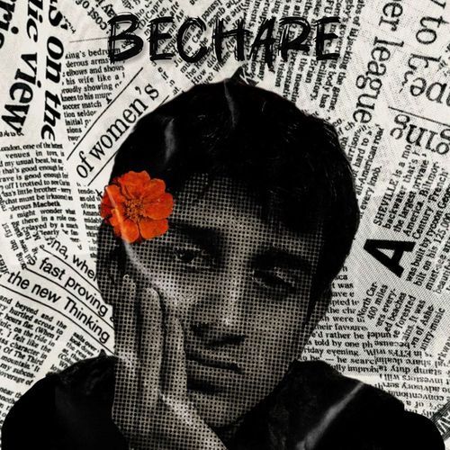 Bechare