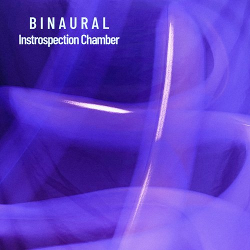 Binaural Stream cover art
