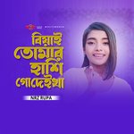 Biyai Tomar Hisi Go Deikha