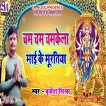 Cham Cham Chamkela Mai Ke Murtiya