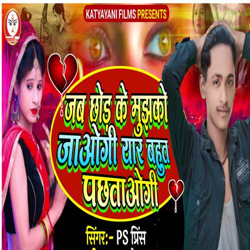 Jb chhod ke mujhko jayogi yaar bahut pachhatayogi cover art