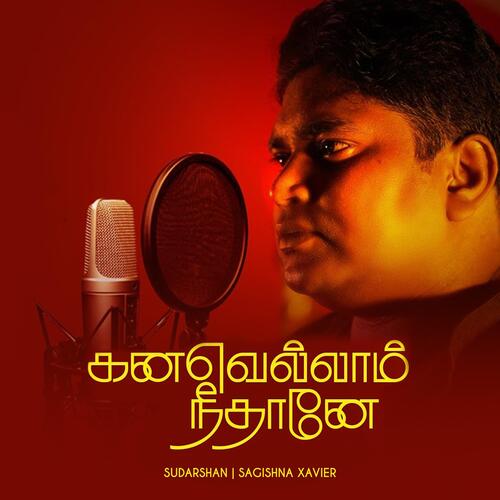 Kanavellam Neethaane (feat. Sagishna)