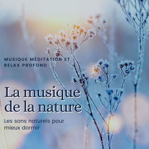 La musique de la nature: Les sons naturels pour mieux dormir, musique méditation et relax profond