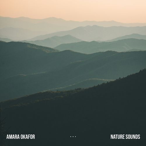 Nature Sound Collection cover art