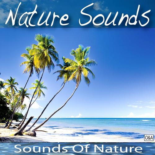 Lakeside Nature Sounds