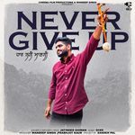 Never Give Up artwork