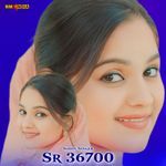 Sahin Singer Sr 36700